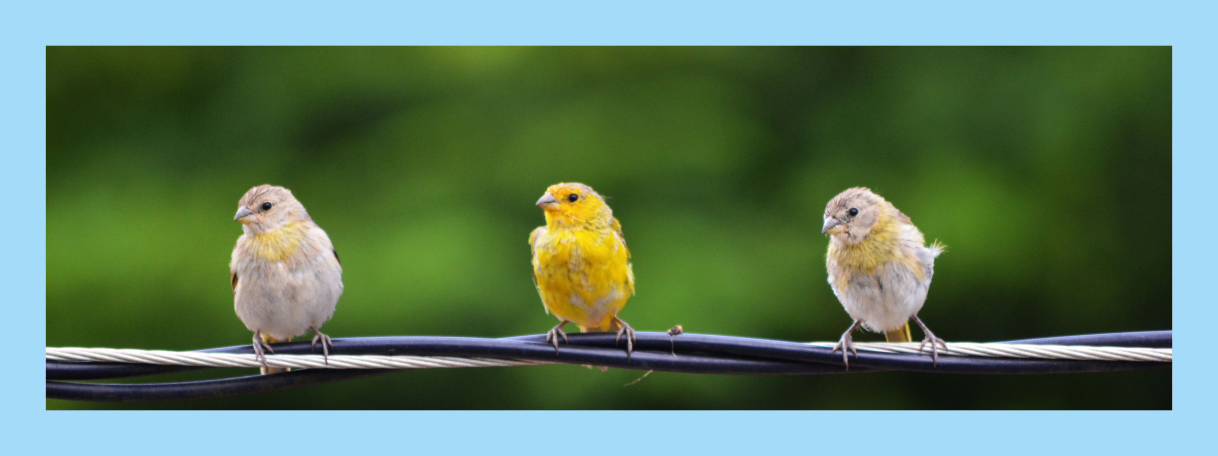 Learn how a picc line is fitted and reduce your stress for cancer treatment