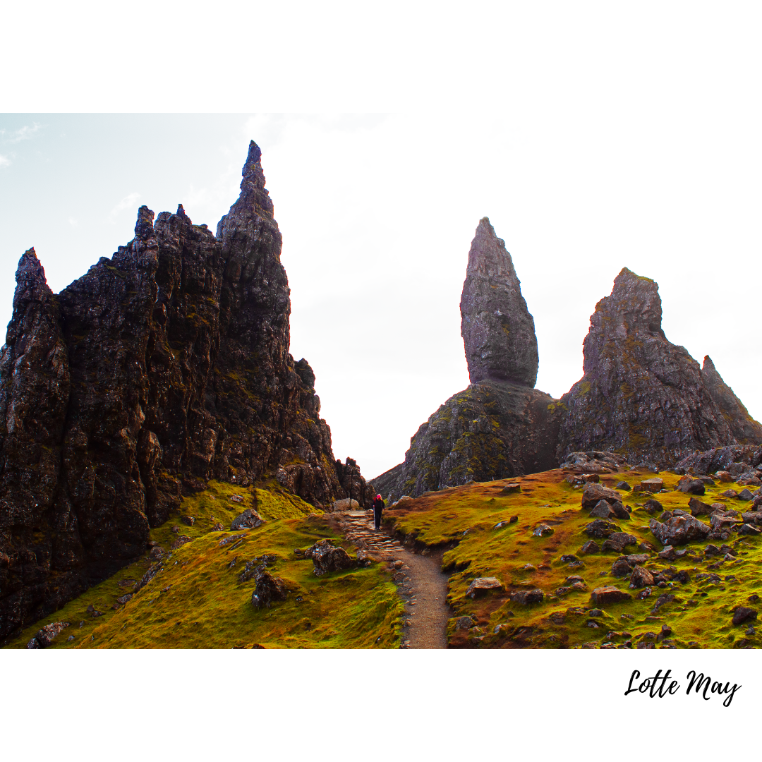 photography framed prints