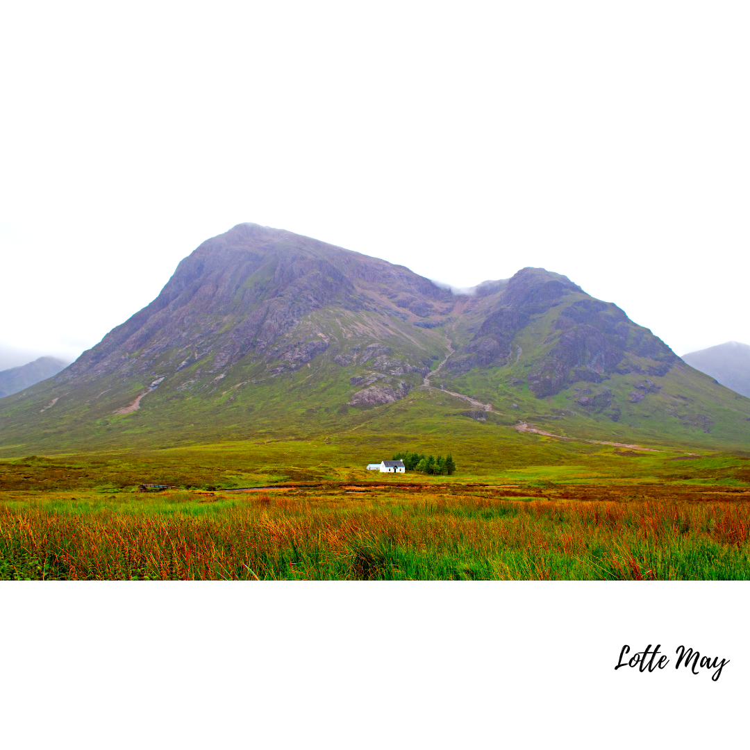 photographer selling framed prints